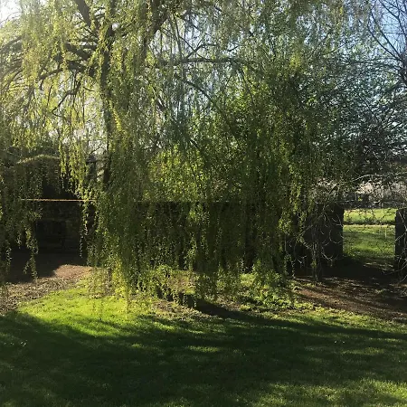 Maison De Maitre D'hote Bed & Breakfast Louin